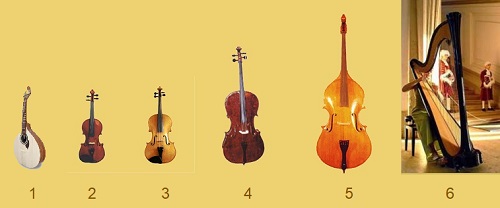 musical instruments: cordophones