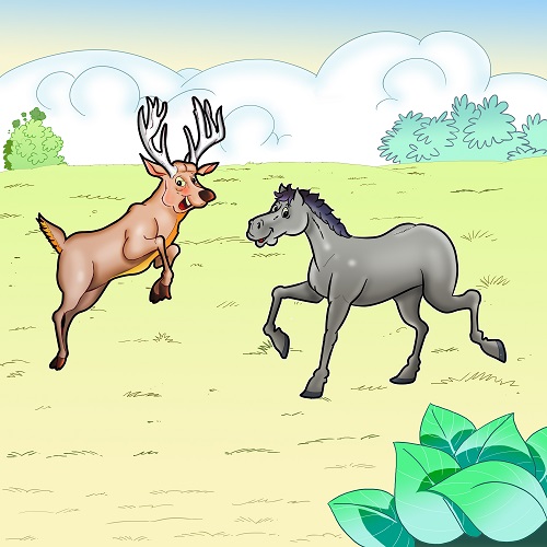 The deer meets the horse