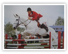 photo do champion olympique John Whitaker with son cheval lusitanien Nivileiro