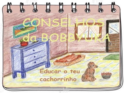 Conselhos da Bobbyuka sobre a educa��o do teu cachorrinho