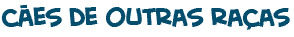 para conhecer c�es de outras ra�as