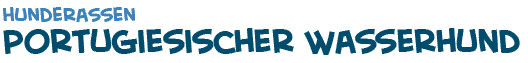 Titel der Portugiesischen Wasserhunde Seite