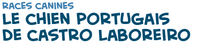 titre du texte sur les chiens Castro Laboreiro