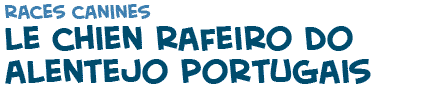 titre du texte sur les chiens Rafeiro de Alentejo