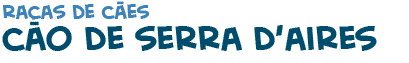t�tulo do texto sobre o c�o Serra d'Aires