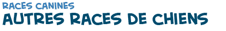 titre de la page de pr�sentation des photos d'autres races de chiens