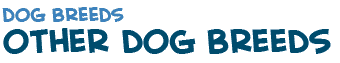 other dog breeds