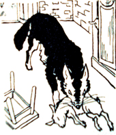 Der Wolf und die sieben Gei�lein