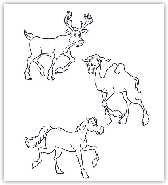 Das Kamel, der Hirsch und das Pferd