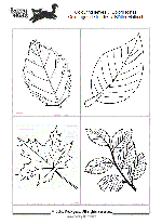 coloriages de feuilles
