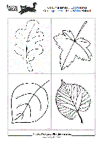 coloriages de feuilles