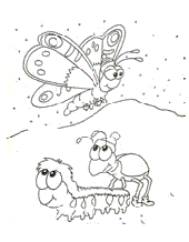 Die Raupe und der Schmetterling