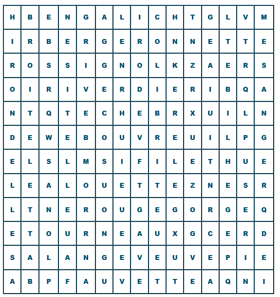 mots cach�s sur les passereaux