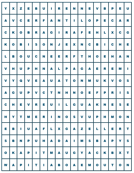 mots cach�s sur les mammif�res ruminants