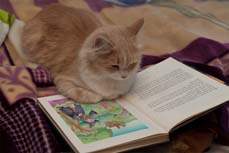 album jeunesse Sofia & Ad�lia et la F�e des Dents