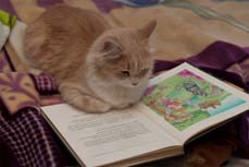 album jeunesse Sofia & Ad�lia et la F�e des Dents