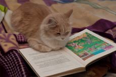 album jeunesse Sofia & Ad�lia et la F�e des Dents