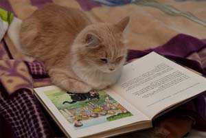 album jeunesse Sofia & Ad�lia et Fifi, le chaton