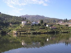 Landscape with horizon line, Portugal