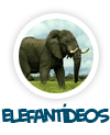 elefant�deos