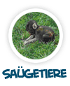 nach S�ugetiere