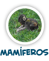 para p�gina sobre os mam�feros