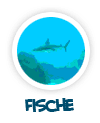 nach Fische
