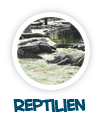 nach Reptilien