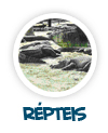 para p�gina sobre os r�pteis