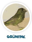 Gr�nfink