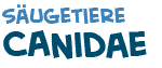 Titel des Texts �ber Canidae