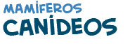 t�tulo da p�gina sobre os can�deos
