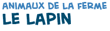 titre du texte sur le lapin