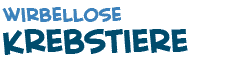 Titel des Textes ueber Krebstiere