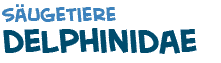 Titel des Texts �ber Delfine
