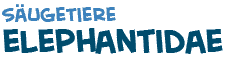 Titel des Texts �ber Elephantidae
