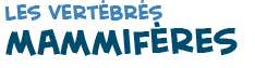 titre du texte sur les mammif�res