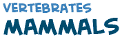 title of the text on mammals
