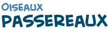 titre du texte sur les passereaux