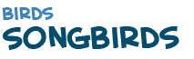 title of the text on songbirds