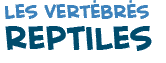 titre du texte sur les reptiles