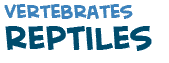 title of the text on reptiles