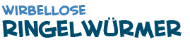 Titel des Textes ueber Ringelwuermer