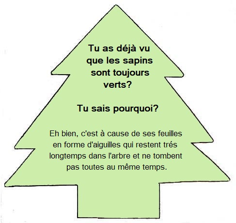 pourqupo les pins et les sapins sont-ils toujours verts